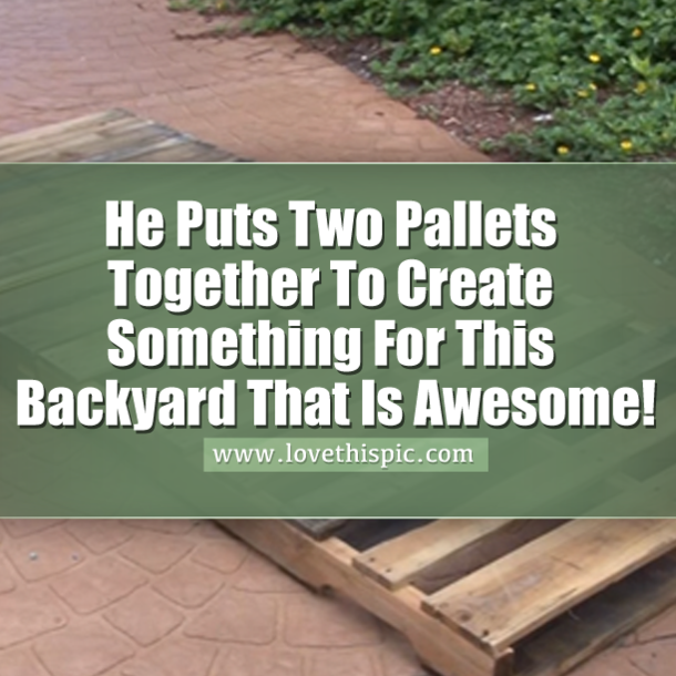 He Puts Two Pallets Together To Create THIS For The Backyard.  This Is Perfect For Summer!