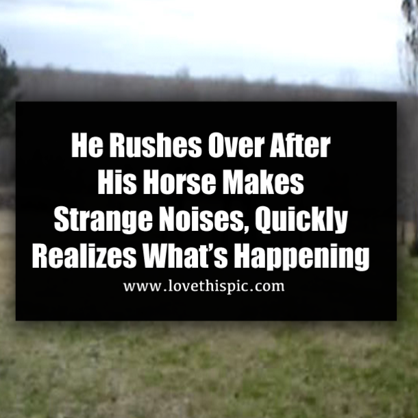 He Rushes Over After His Horse Makes Strange Noises, Quickly Realizes What’s Happening