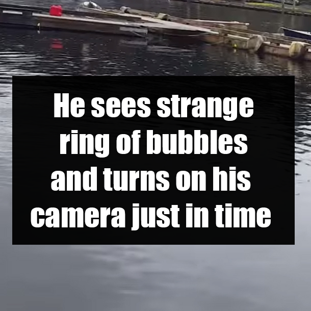 He sees strange ring of bubbles and turns on his camera just in time