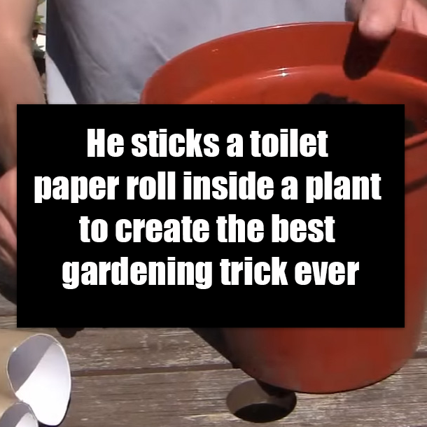 He sticks a toilet paper roll inside a plant to create the best gardening trick ever