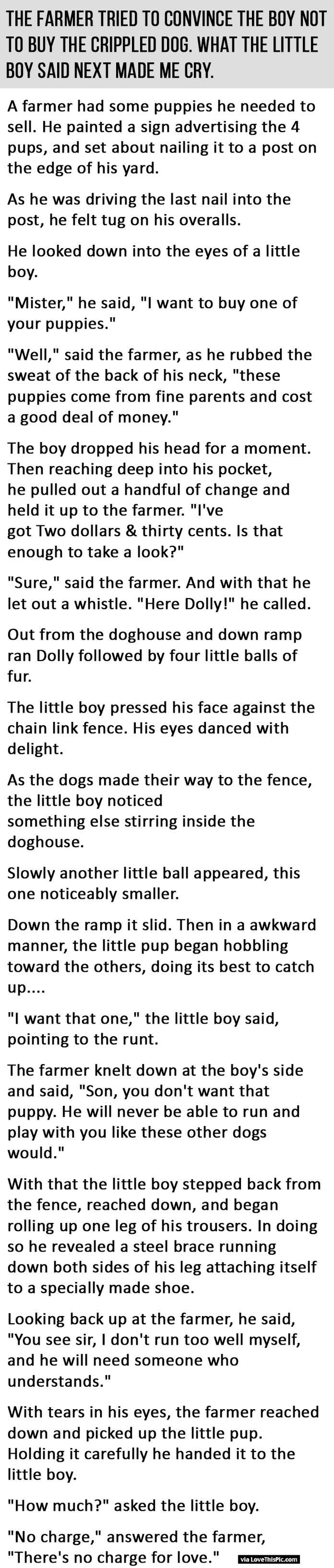 He Tried To Convince The Boy Not To Buy The Crippled Puppy But What The Boy Said Next Made Me Cry.