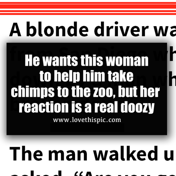 He wants this woman to help him take chimps to the zoo, but her reaction is a real doozy