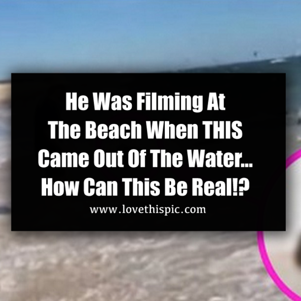 He Was Filming At The Beach When THIS Came Out Of The Water… How Can This Be Real!?
