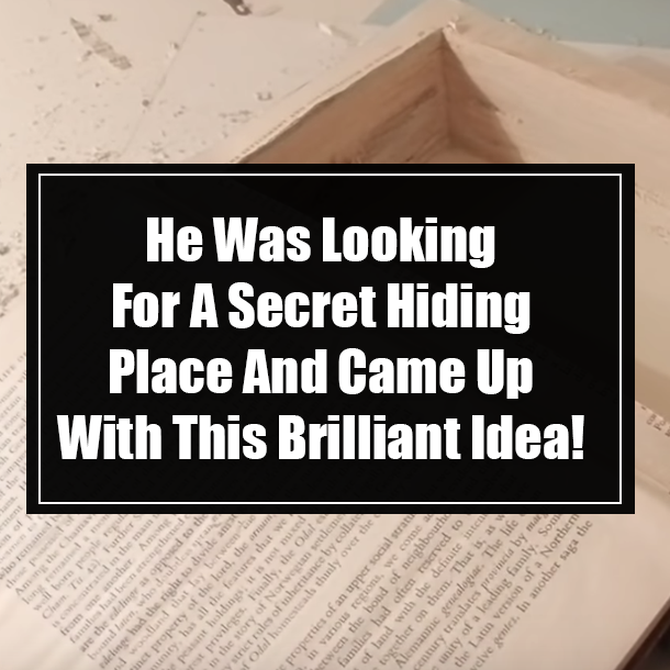 He Was Looking For A Secret Hiding Place And Came Up With This Brilliant Idea!