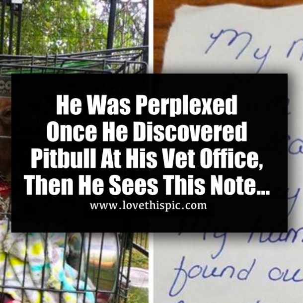 He Was Perplexed Once He Discovered Pitbull At His Vet Office, Then He Sees This Note...