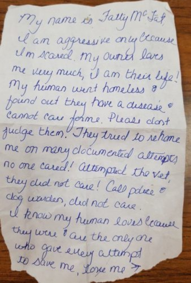 He Was Perplexed Once He Discovered Pitbull At His Vet Office, Then He Sees This Note... - picture 2