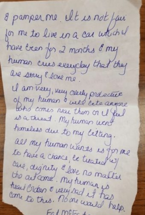 He Was Perplexed Once He Discovered Pitbull At His Vet Office, Then He Sees This Note... - picture 3