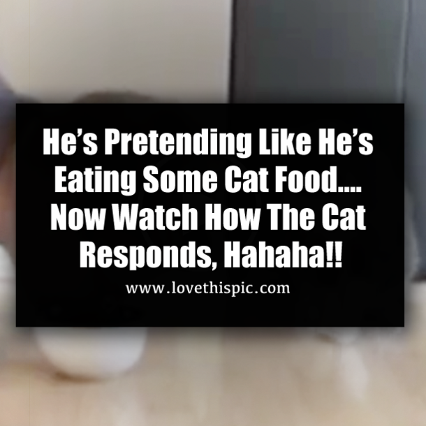 He’s Pretending Like He’s Eating Some Cat Food…. Now Watch How The Cat Responds, Hahaha!!