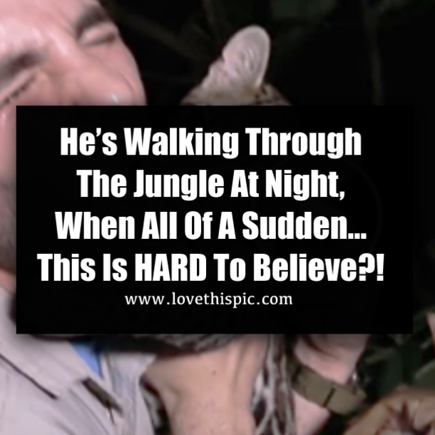 He’s Walking Through The Jungle At Night, When All Of A Sudden…This Is HARD To Believe?!