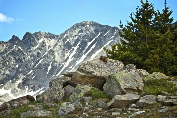 Healthy Woman Starts Vomiting While Hiking, Serious Warning Issued When She Passes Away Unexpectedly - picture 4