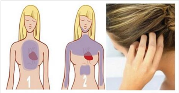 HEART ATTACKS CAN BE PREDICTED MONTHS BEFORE: YOUR HAIR WILL WARN YOU! HERE’S HOW! - picture 2