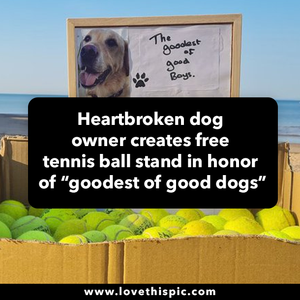 Heartbroken dog owner creates free tennis ball stand in honor of “goodest of good dogs”