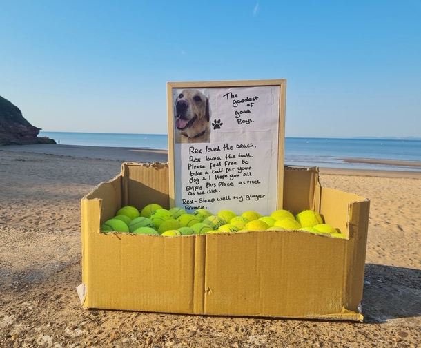 Heartbroken dog owner creates free tennis ball stand in honor of “goodest of good dogs” - picture 4