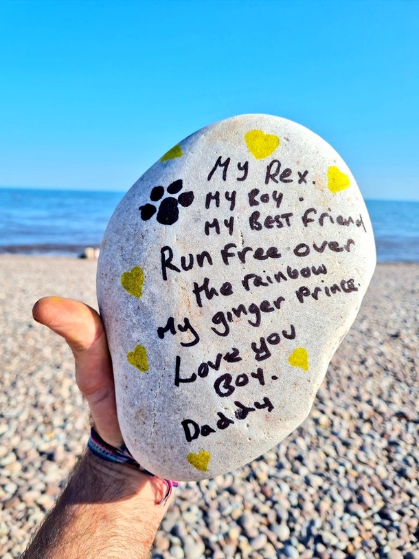 Heartbroken dog owner creates free tennis ball stand in honor of “goodest of good dogs” - picture 6