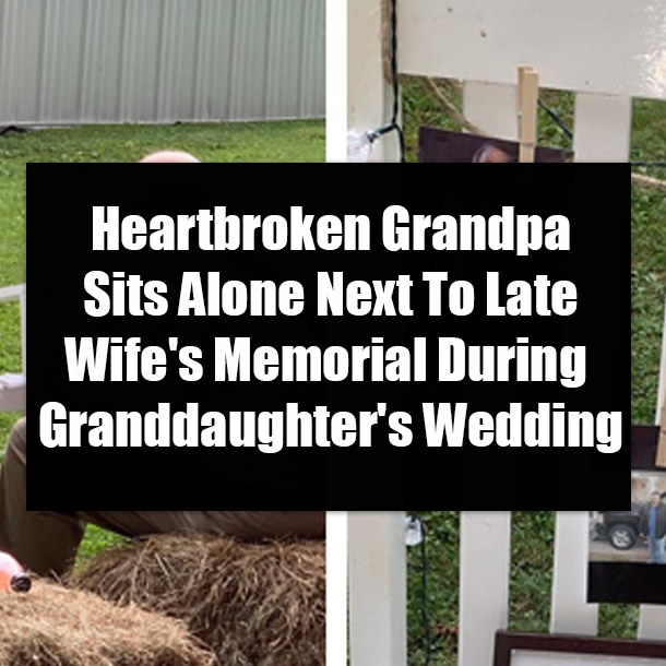 Heartbroken Grandpa Sits Alone Next To Late Wife's Memorial During Granddaughter's Wedding