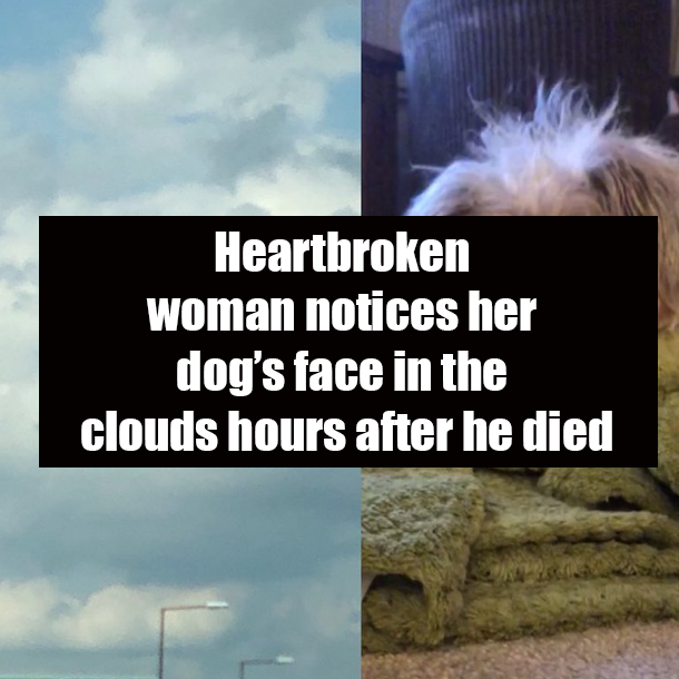 Heartbroken woman notices her dog’s face in the clouds hours after he died