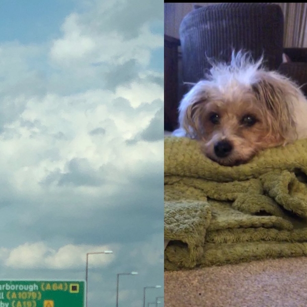 Heartbroken woman notices her dog’s face in the clouds hours after he died - picture 3