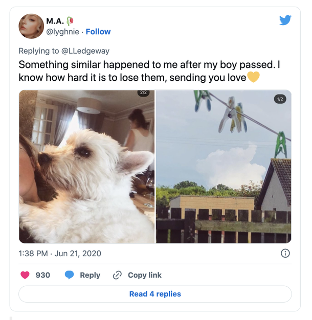 Heartbroken woman notices her dog’s face in the clouds hours after he died - picture 4