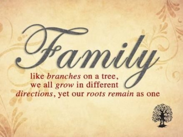Heartfelt Quotes About Family - picture 3