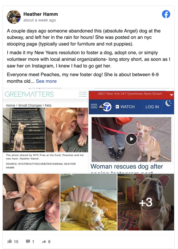 Heartwarming And Incredible Story of Woman Who Saved and Adopted Dog left abandoned at NYC Subway Station - picture 3