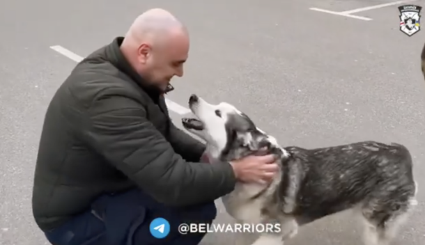 Heartwarming video shows owner and dog reunite after being separated by war in Ukraine - picture 3
