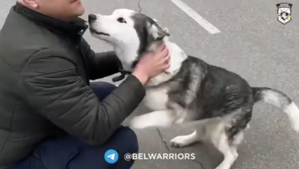 Heartwarming video shows owner and dog reunite after being separated by war in Ukraine - picture 4