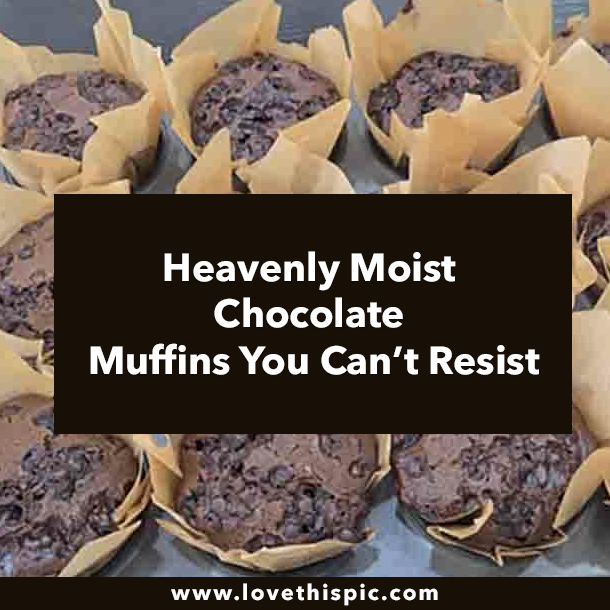 Heavenly Moist Chocolate Muffins You Can’t Resist
