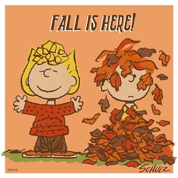 Hello Fall Snoopy Quotes For The New Season - picture 3