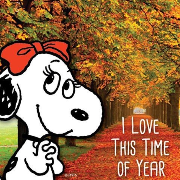 Hello Fall Snoopy Quotes For The New Season - picture 6