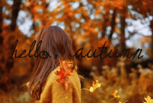 Hello Fall & Welcome Fall Animated Quotes - picture 3