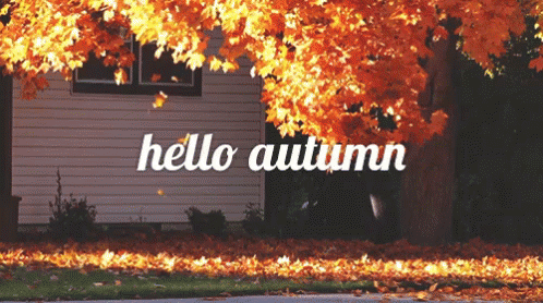 Hello Fall & Welcome Fall Animated Quotes - picture 4