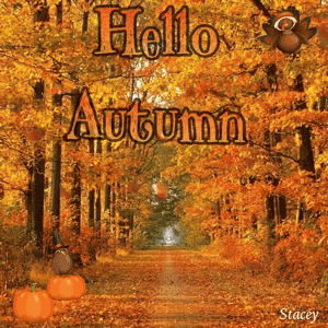 Hello Fall & Welcome Fall Animated Quotes - picture 5