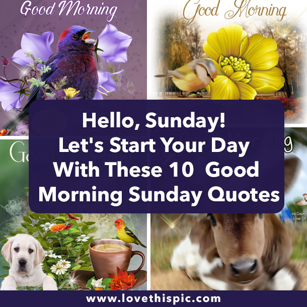 Hello, Sunday! Let's Start Your Day With These 10  Good Morning Sunday Quotes