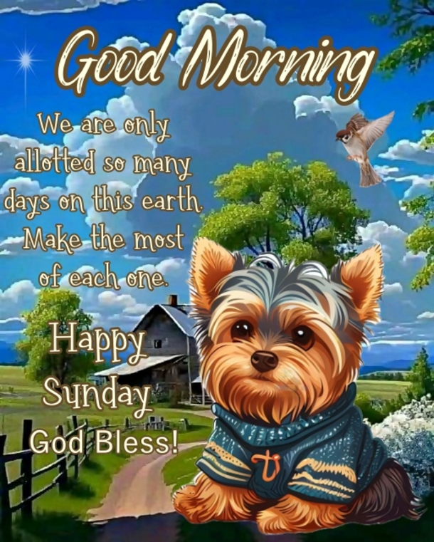 Hello, Sunday! Let's Start Your Day With These 10  Good Morning Sunday Quotes - picture 2