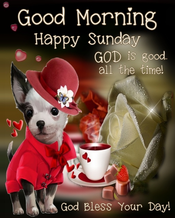 Hello, Sunday! Let's Start Your Day With These 10  Good Morning Sunday Quotes - picture 3