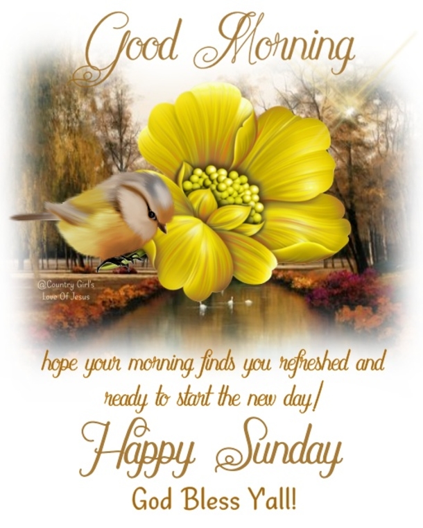 Hello, Sunday! Let's Start Your Day With These 10  Good Morning Sunday Quotes - picture 5