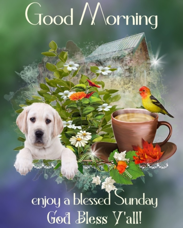 Hello, Sunday! Let's Start Your Day With These 10  Good Morning Sunday Quotes - picture 8
