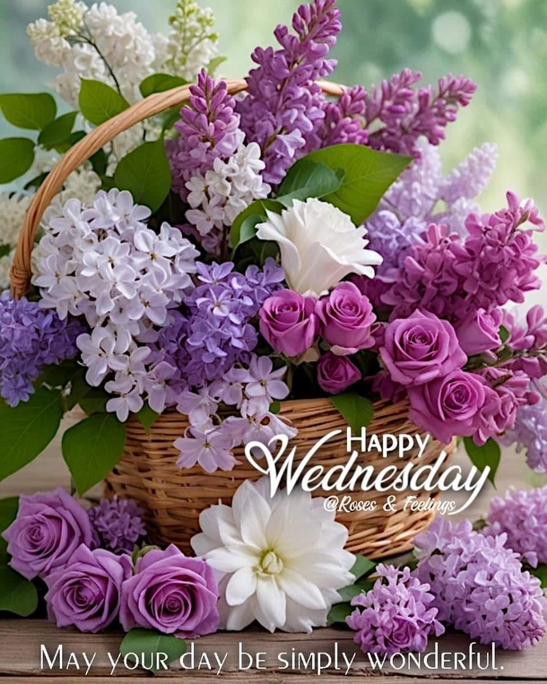 Hello Wednesday & Happy Wednesday Quotes To Bless Your Day - picture 5