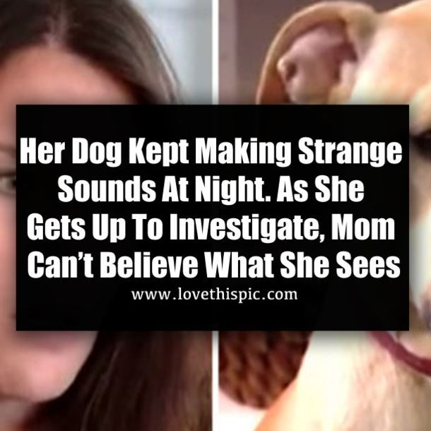Her Dog Kept Making Strange Sounds At Night. As She Gets Up To Investigate, Mom Can’t Believe What She Sees