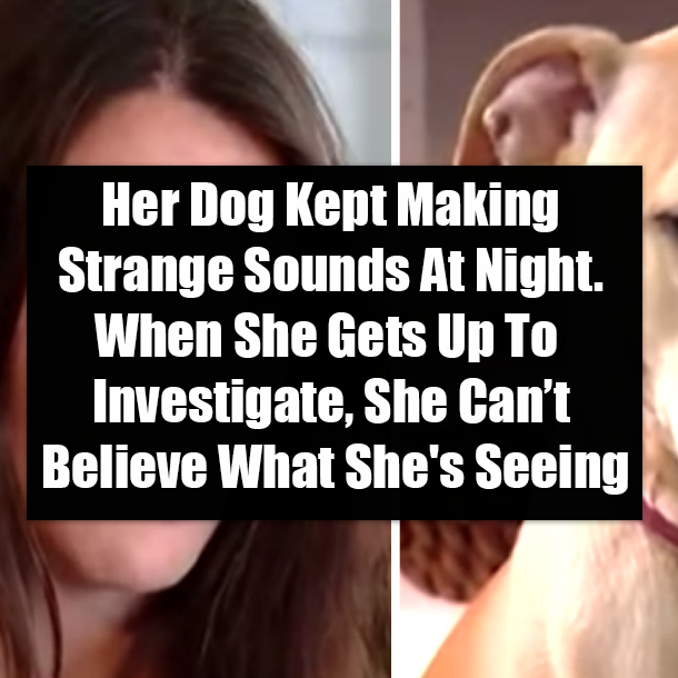 Her Dog Kept Making Strange Sounds At Night. When She Gets Up To Investigate, She Can’t Believe What She's Seeing