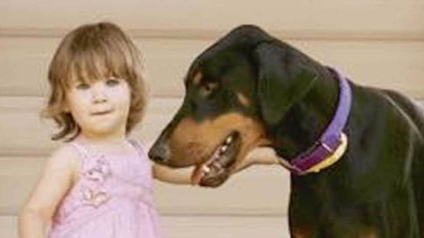Her Dog Suddenly Grabs Her Out of Nowhere And Tosses Her Across The Yard. Then THIS Happens! - picture 2