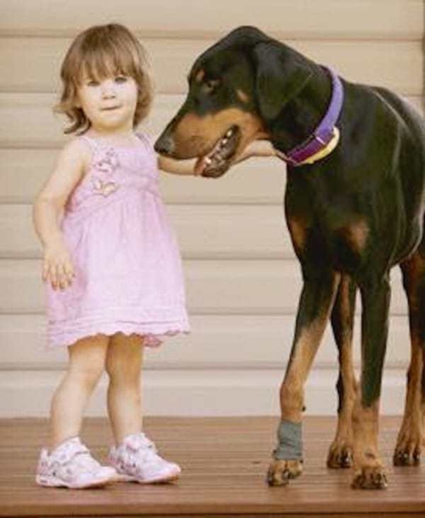 Her Dog Suddenly Grabs Her Out of Nowhere And Tosses Her Across The Yard. Then THIS Happens! - picture 4