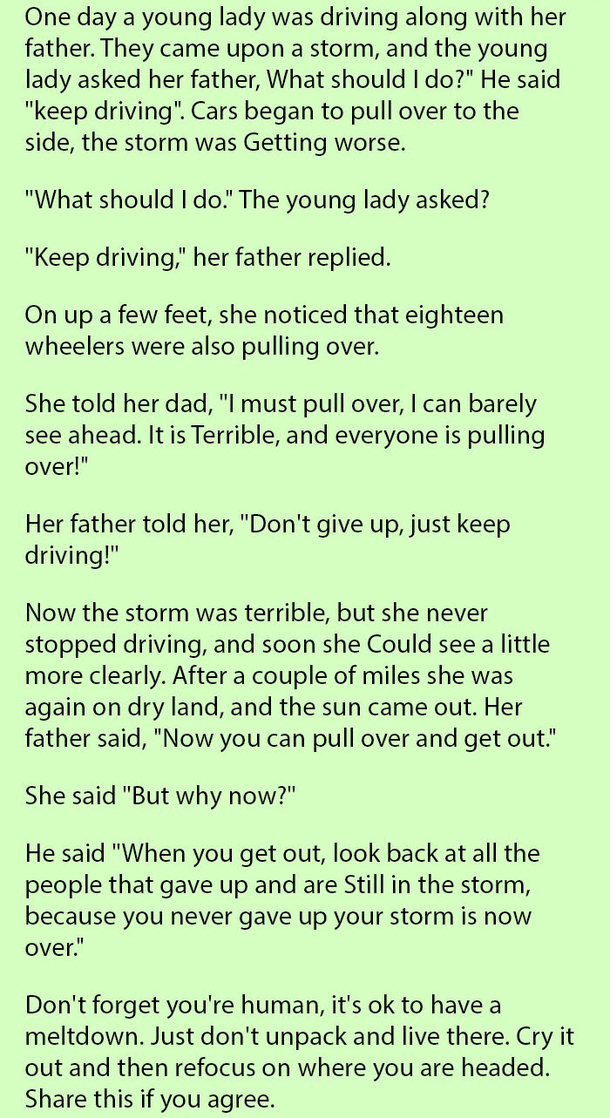 Her Father Wouldn’t Let Her Pull Over When The Storm Got Worse For This One Reason…. - picture 2