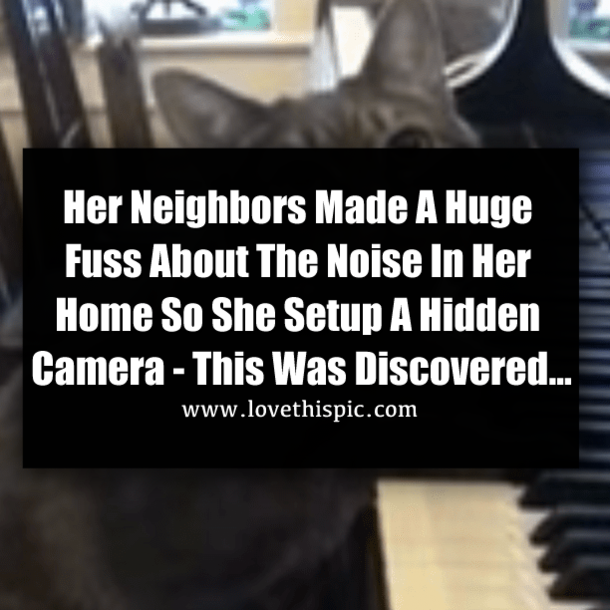 Her Neighbors Made A Huge Fuss About The Noise In Her Home So She Setup A Hidden Camera - This Was Discovered...