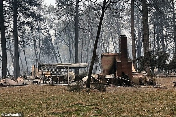 Her Owners Left Her For Dead Once The Fires Started But She Lived, Despite All Odds - picture 3