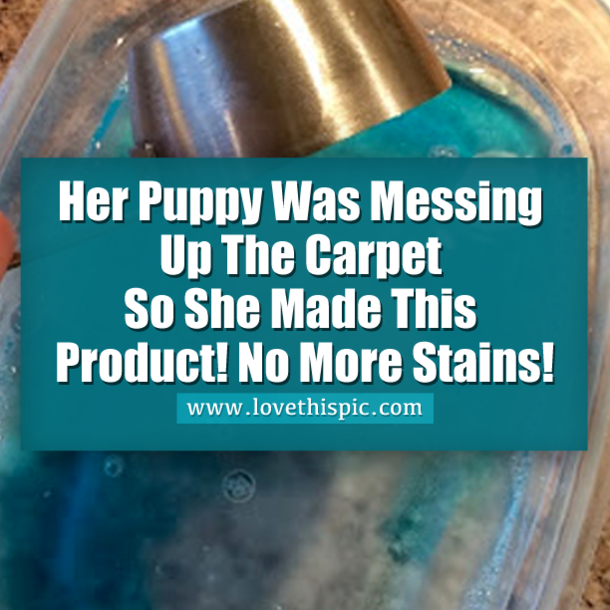 Her Puppy Was Messing Up The Carpet So She Made This Product! No More Stains!