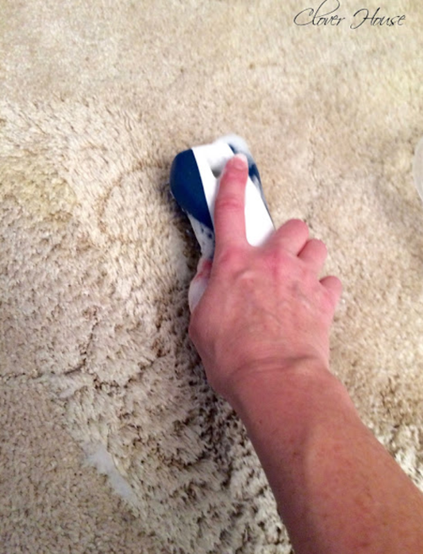 Her Puppy Was Messing Up The Carpet So She Made This Product! No More Stains! - picture 6