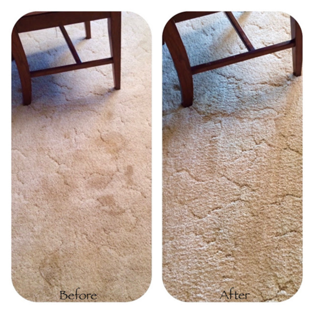 Her Puppy Was Messing Up The Carpet So She Made This Product! No More Stains! - picture 7