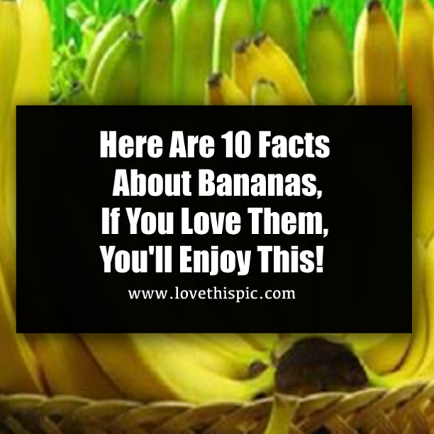 Here Are 10 Facts About Bananas, If You Love Them, You'll Enjoy This!