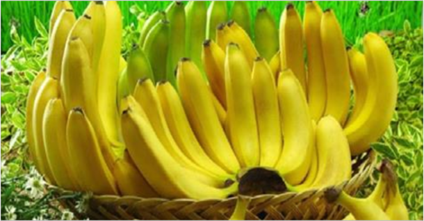 Here Are 10 Facts About Bananas, If You Love Them, You'll Enjoy This! - picture 2